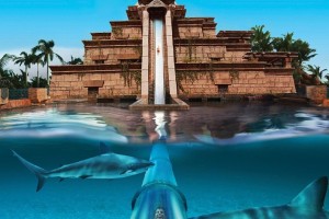 Aqua venture