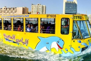 Wonder Bus
